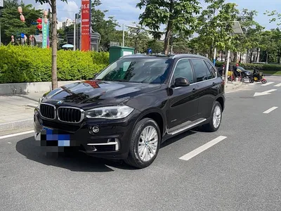 2014 BMW X5 (Import) xDrive35i Luxury, фото 1, лот 10463759