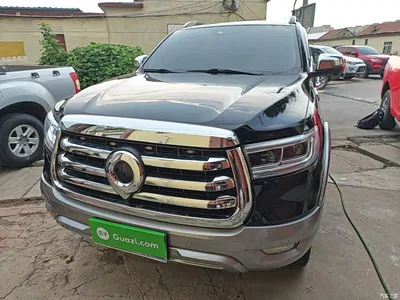 2021 Great Wall Pao 2.0T Passenger Global Edition Automatic Gasoline 4WD Premium Standard Box GW4C20B, фото 3, лот 10248896
