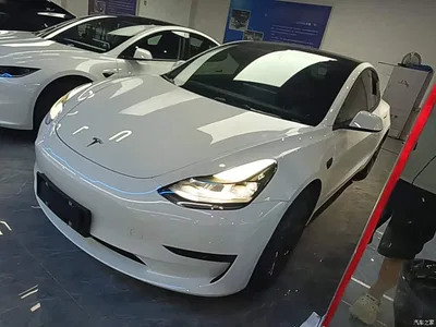 2022 Tesla Model 3 Model Rear-Wheel Drive Version, фото 2, лот 10375232
