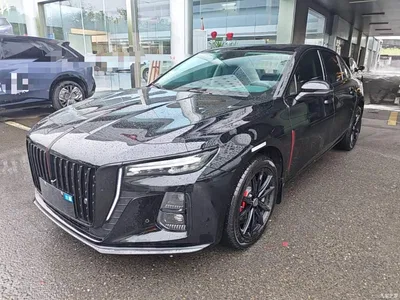 2025 Hongqi H5 1.5T DCT Mystic Shadow 2 Million Edition, фото 1, лот 10764110