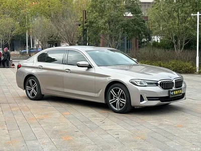 2022 BMW 5 Series 530Li Leading Luxury Package, фото 3, лот 10443860