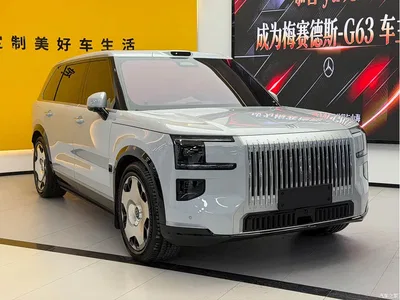 2025 ZEEKR 9X Model Standard, фото 3, лот 10291645