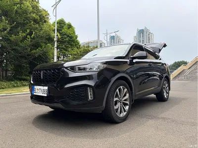 2018 WEY VV6 2.0T 2WD Flagship China V, фото 1, лот 10452171