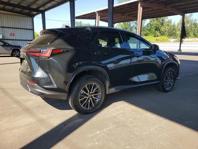 2023 LEXUS NX 350H, фото 3, лот 10649760