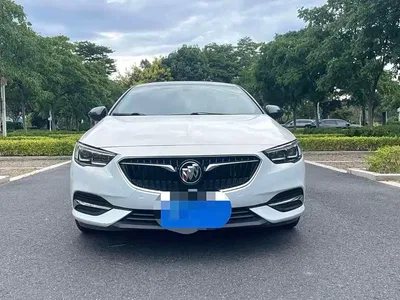 2019 Buick Regal 20T Luxury China VI, фото 2, лот 10250447