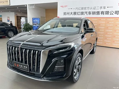 2025 Hongqi HS3 PHEV PHEV 115km Power Edition, фото 1, лот 11530539