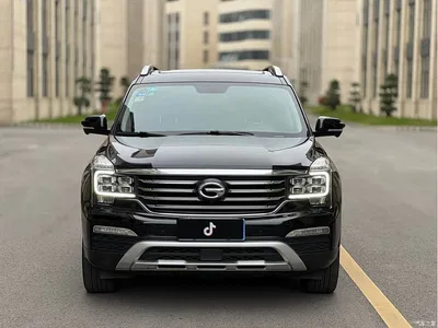 2017 GAC Trumpchi Trumpchi GS8 320T 2WD Luxury Smart Connect (7-seater), фото 2, лот 10416417
