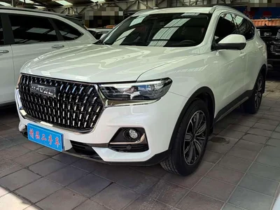 2023 Haval H6 National Trend Edition 1.5T Automatic Champion, фото 1, лот 10282951