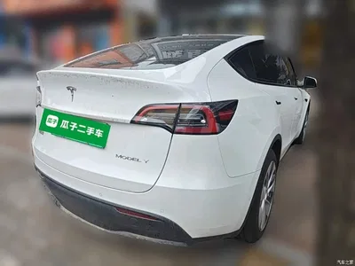 2022 Tesla Model Y Facelift Rear-Wheel Drive Version, фото 4, лот 11205237