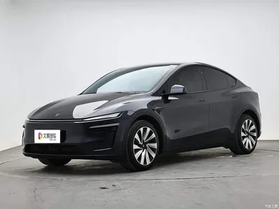 2025 Tesla Model Y Rear-Wheel Drive, фото 1, лот 10450226