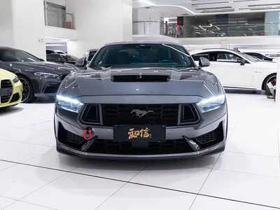 2024 Ford Mustang 5.0L V8 Dark Horse, фото 1, лот 10450648