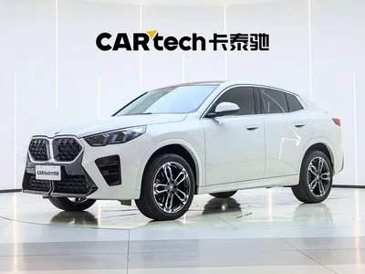 2025 BMW X2 (Import) sDrive25i M Sport Package, фото 1, лот 10765743