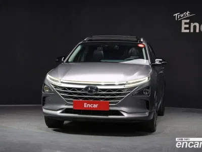 2020 Hyundai Nexo Premium, фото 2, лот 10041522