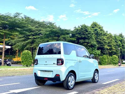 2023 Geely Galaxy Panda Mini 200km Endurance Bear, фото 4, лот 10397236