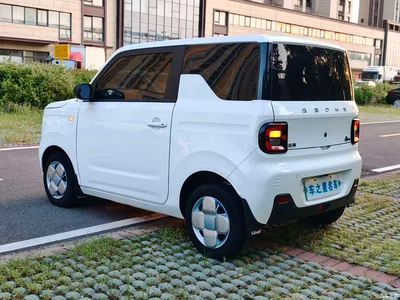 2024 Geely Galaxy Panda mini 200km Soaring Dragon Edition, фото 4, лот 10432250