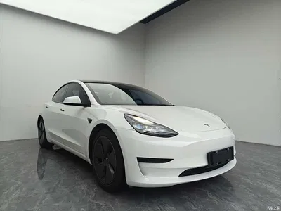 2021 Tesla Model 3 Standard Range Rear-Wheel Drive Upgrade, фото 3, лот 11459803