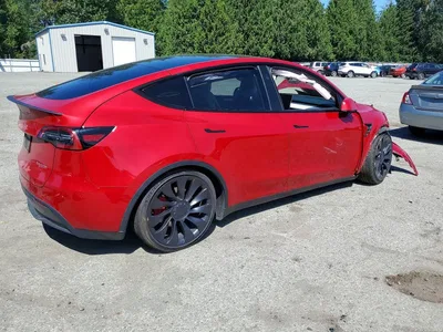 2023 TESLA MODEL Y, фото 3, лот 10853496