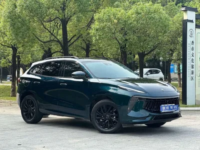 2021 Dongfeng Fengxing T5 EVO 1.5TD DCT Starlight Edition, фото 3, лот 11189855