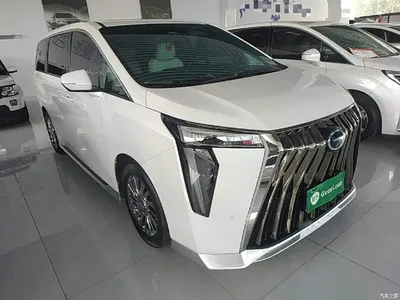 2023 GAC Trumpchi Trumpchi M8 Model Master Series Hybrid Royal Edition, фото 4, лот 10390248