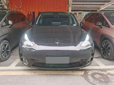 2023 Tesla Model Y Rear-Wheel Drive Edition, фото 2, лот 11242528