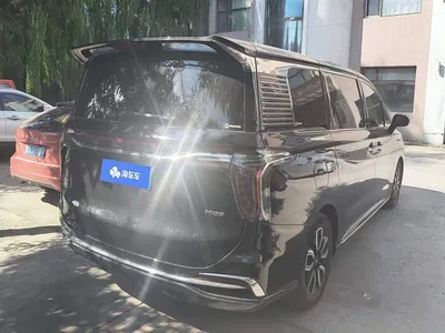 2023 Hongqi HQ9 2.0T Smart Connect Flag Smooth Edition, фото 3, лот 11107585