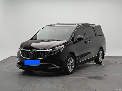 2020 Buick GL8 Avenir Seven-Seat Premium Edition, фото 1, лот 11583725
