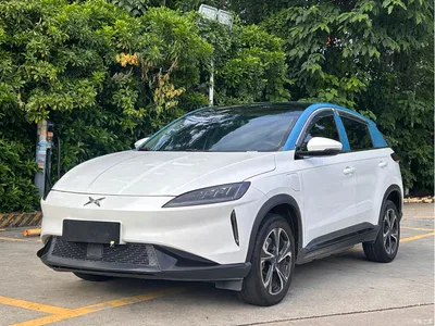 2020 XPeng G3 460 Smart Edition, фото 1, лот 10376394