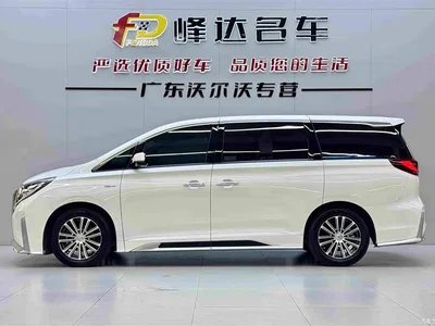 2021 GAC Trumpchi Trumpchi M8 Master Series 390T Prestige Edition, фото 4, лот 10414151
