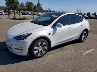 2021 TESLA MODEL Y, фото 1, лот 10854229