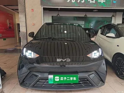 2024 BYD Seagull Glory Edition 305km Freedom Edition, фото 3, лот 10260331