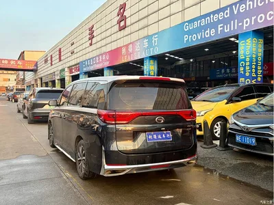 2021 GAC Trumpchi Trumpchi M8 Facelift Leading Series 390T Luxury Edition, фото 4, лот 11193955