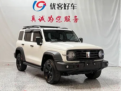 2021 Tank 300 Off-road Version 2.0T Conqueror, фото 3, лот 11249904