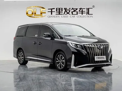 2021 GAC Trumpchi Trumpchi M8 Facelift Leading Series 390T Luxury Edition, фото 1, лот 11226712