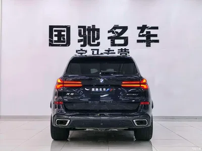 2023 BMW X5 xDrive 30Li Premium M Sport Black Night Package, фото 4, лот 10410999
