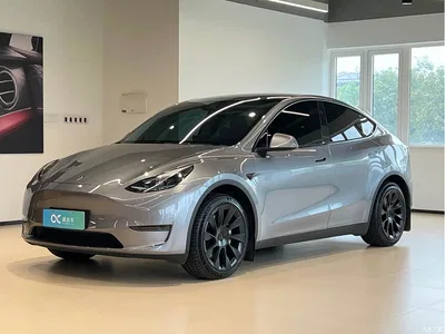 2024 Tesla Model Y Long Range AWD, фото 1, лот 11242548