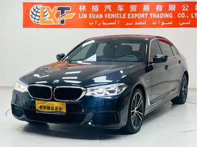 2020 BMW 5 Series 530Li Exclusive M Sport Package, фото 1, лот 11516946