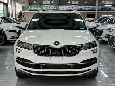 2022 Škoda Karoq TSI280 Luxury Edition, фото 3, лот 10348604