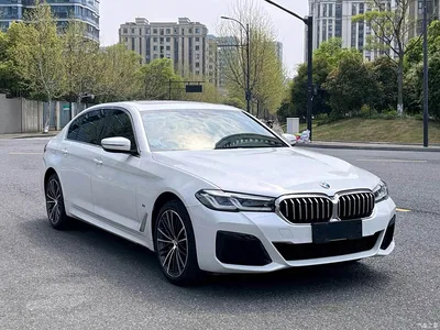 2021 BMW 5 Series 530Li Leading M Sport Package, фото 3, лот 11549633