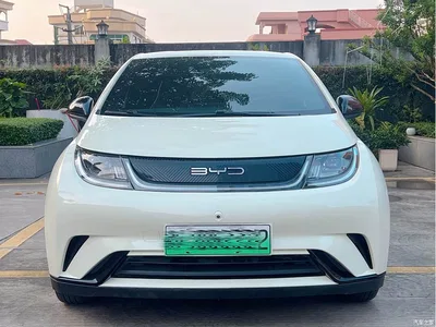 2023 BYD Dolphin 420km Freedom Edition, фото 2, лот 10632729