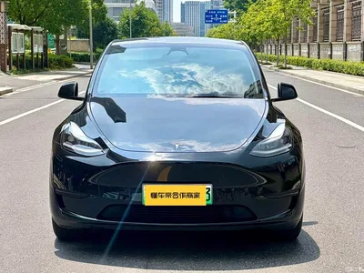 2024 Tesla Model Y Rear-Wheel Drive Version, фото 4, лот 10374820