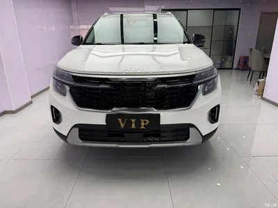 2023 Kia Seltos 1.5L CVT Luxury Edition, фото 2, лот 10337052