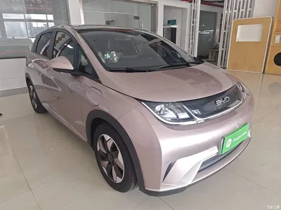 2025 BYD Dolphin 420km Fashion Edition, фото 4, лот 11131957