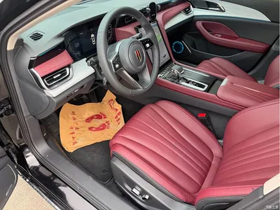 2025 Hongqi H5 1.5T DCT Flag Rhythm 500,000 Units Memorial Edition, фото 4, лот 10287758