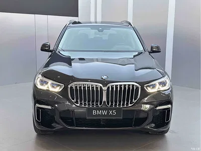 2022 BMW X5 Facelift xDrive 30Li Premium M Sport Package, фото 2, лот 10462908