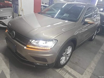 2018 Volkswagen Tiguan 330TSI 4WD Innovation Edition, фото 2, лот 10480764