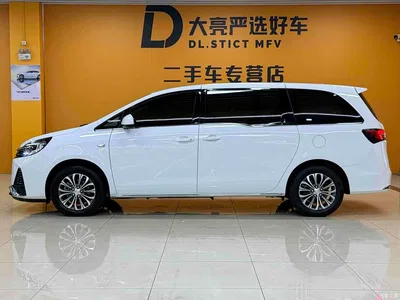 2023 Buick GL8, фото 4, лот 10244318