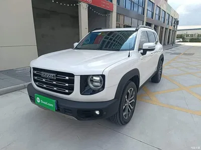 2021 Haval Big Dog 1.5T DCT 2WD Border Collie Edition, фото 2, лот 10361309