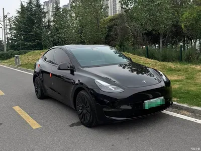 2021 Tesla Model Y Standard Range Rear-Wheel Drive, фото 3, лот 10453985