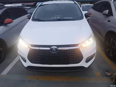 2019 BYD Yuan New Energy EV535 Smart Connection Leading Type, фото 3, лот 10625053