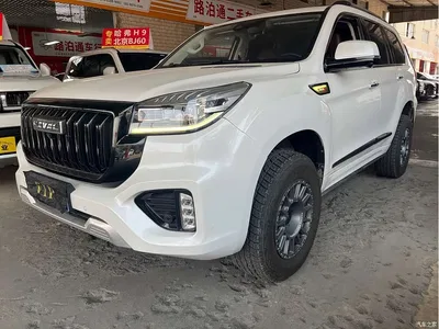 2022 Haval H9 2.0T Gasoline 4WD Luxury 7-seater, фото 1, лот 11202676